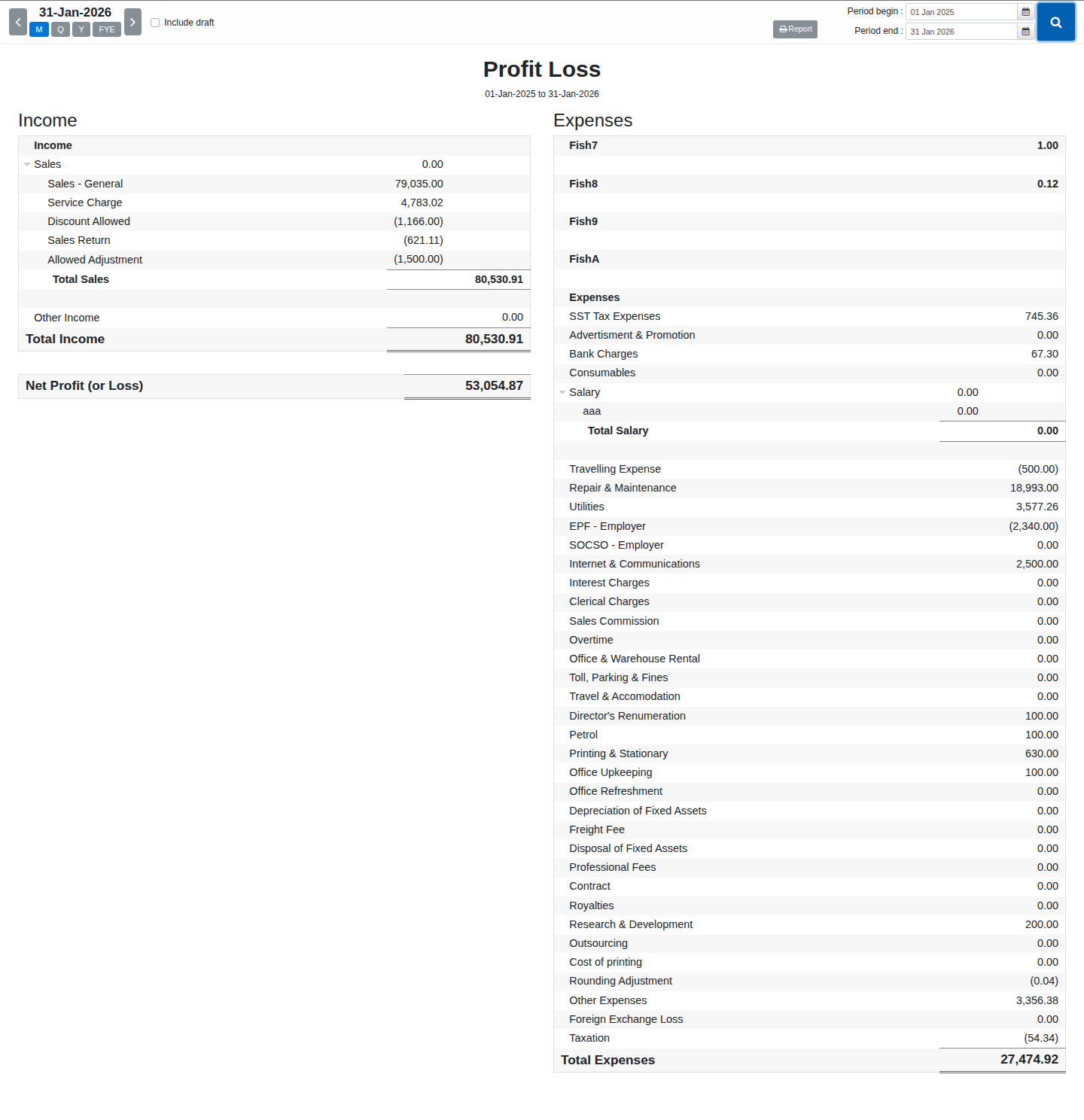 Profit Loss statement showing Income, Expenses and Net Profit (or Loss) for a selected period